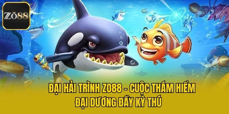 Đại Hải Trình Zo88 – Cuộc Thám Hiểm Đại Dương Đầy Kỳ Thú